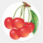 cherry sticker