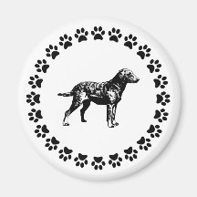 Chesapeake Bay Retriever Refrigerator Magnets