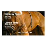 Chestnut Horse Photo Business Card