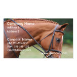 Chestnut Show Horse Business Cards