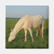 Cheval qui broute aimants pour réfrigérateur
