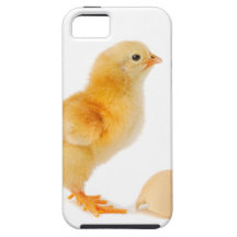 Chick iPhone 5 Case