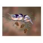 CHICKADEES & PINECONES by SHARON SHARPE Postcard