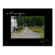 'Chicken Crossing Road' photo postcard