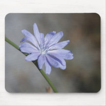 Chickory Mouse Pad