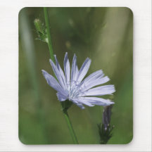 Chickory Mouse Pads