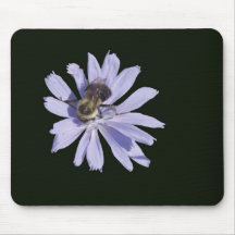 Chickory Mouse Pads