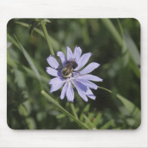 Chickory Mousepad