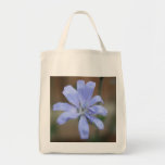 Chicory Canvas Bags