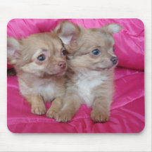 chihauhua puppies mousemat