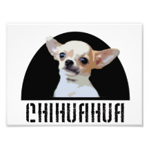 Chihuahua dog art photo