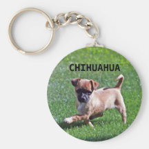 CHIHUAHUA KEY CHAINS