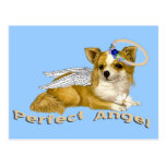 Chihuahua Perfect Angel Postcards