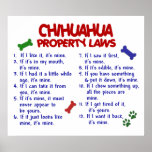 CHIHUAHUA PL2 POSTER