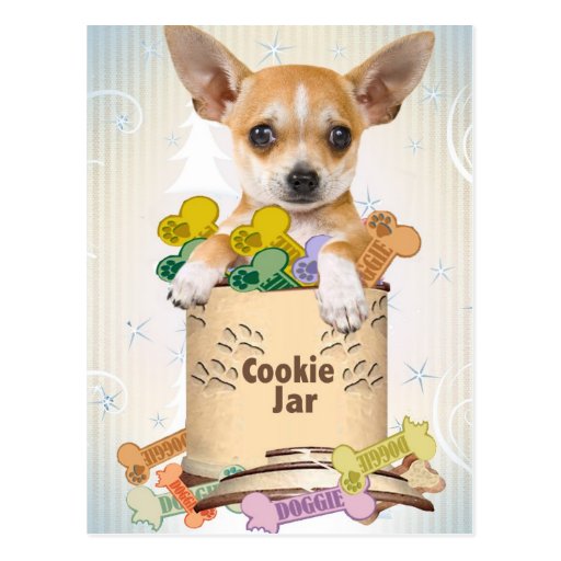 Chihuahua Posed with Cookie Jar Post Cards