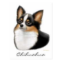 Chihuahua Postcard