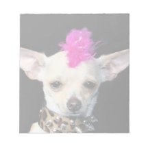 Chihuahua punk rocker memo pad