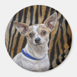 Chihuahua Rescue Miss Izzy Magnet