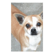 CHIHUAHUA STATIONERY DESIGN