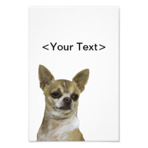 Chihuahua with Attitude Art Photo
