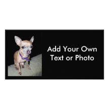 Chihuhahua Looking At You Photo Greeting Card