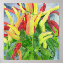 Chillies Poster
