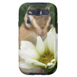 Chimunks , シマリス galaxy s3 covers