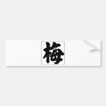 Chinese name for May 20239_4.pdf Bumper Sticker