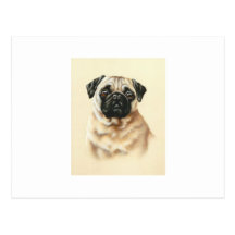 Chinese Pug Post Cards
