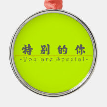 Chinese word for You are Special 10284_4.pdf Christmas Tree Ornament