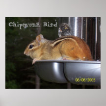 Chipmunk Bird Posters