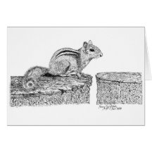 Chipmunk Pen and Ink Card
