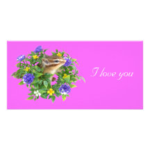 Chipmunk photo　(4-3) , (I love you , Valentine , H フォトカード