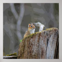 chippy posters