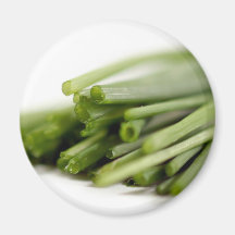 Chives Magnets