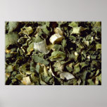 Chives Posters