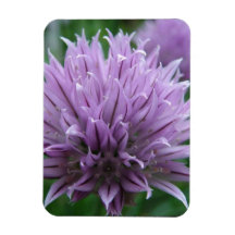 Chives Rectangular Magnet