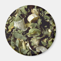 Chives Refrigerator Magnet