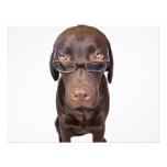 Choccy Lab in Glasses Invites