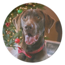 Chocolate Lab Christmas Plate