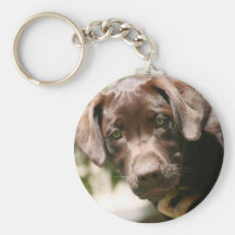 Chocolate Lab Keychain