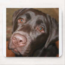 Chocolate Lab Mouse Pads