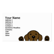 Chocolate Labrador watching you Business Cards