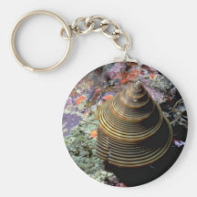 Chocolate-lined top shell (Calliostoma javanicum) Keychain