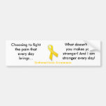 Choosing to fight the pain ...Endo Awareness Bumper Stickers