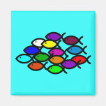 Christian Fish Symbols -Rainbow School Magnet