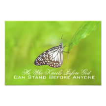 Christian sayings, butterfly photograph