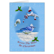 Christmas, Across the Miles, Blue Bird and Snow Cards