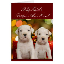 Christmas Argentine Dogo puppies card