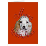 Christmas Basset Hound Card